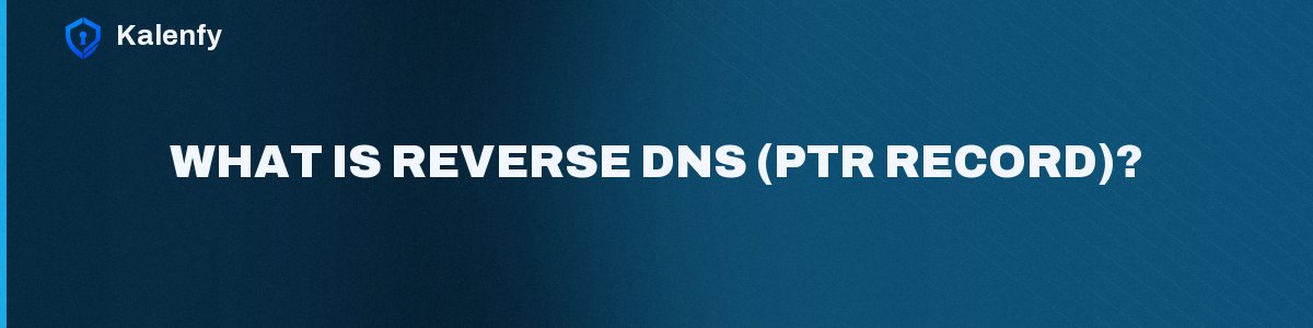 What Is Reverse DNS (PTR Record)?